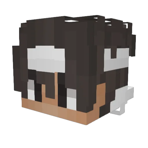 ShinoTetsu Minecraft avatar head, 3D render