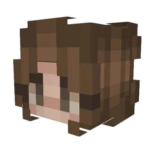 Shino_Bear Minecraft avatar head, 3D render