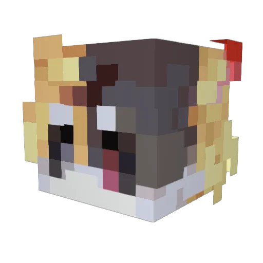 ShinobiCloud_ Minecraft avatar head, 3D render
