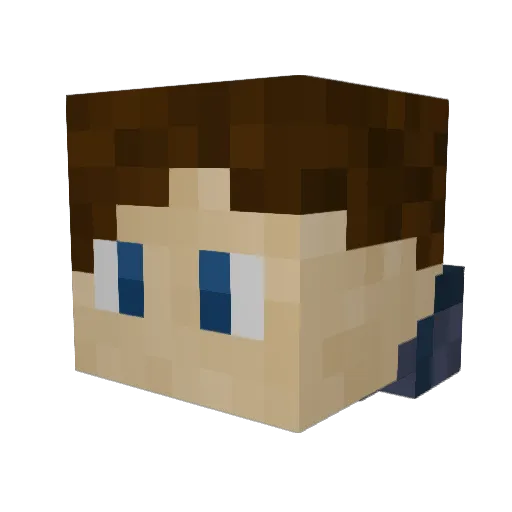 Shinobi_Tortoise Minecraft avatar head, 3D render