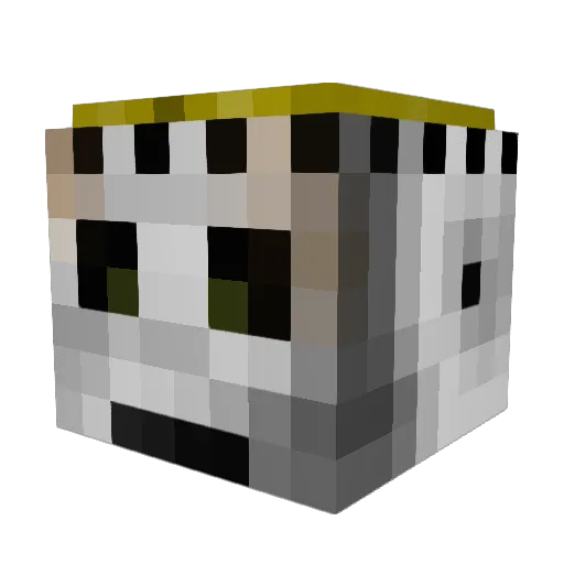 Shinofuan Minecraft avatar head, 3D render