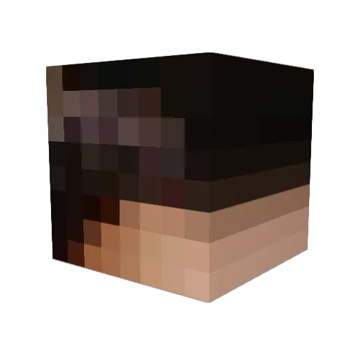 ShinolaVol1 Minecraft avatar head, 3D render