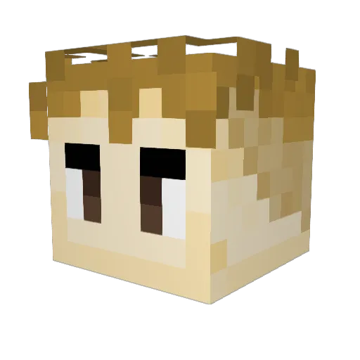 Shinort Minecraft avatar head, 3D render