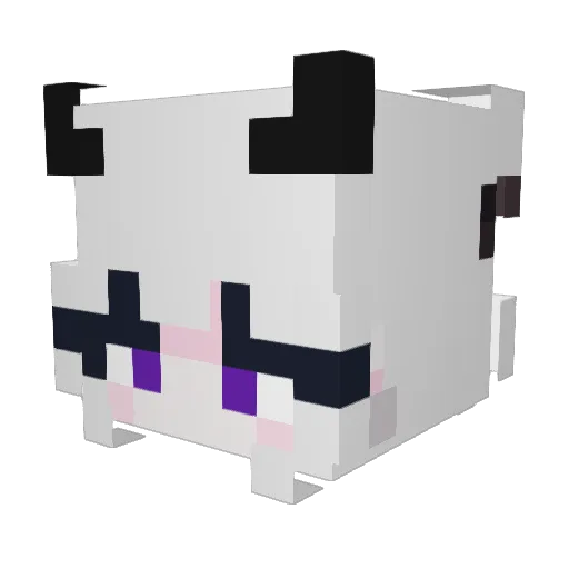 Shinosl Minecraft avatar head, 3D render