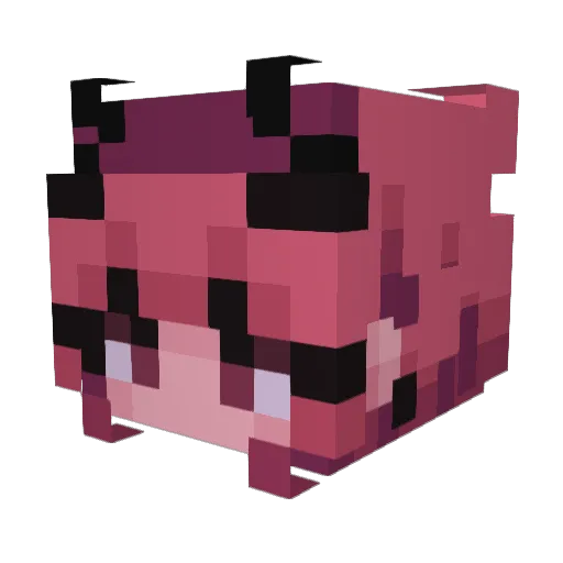 Shinoxia Minecraft avatar head, 3D render