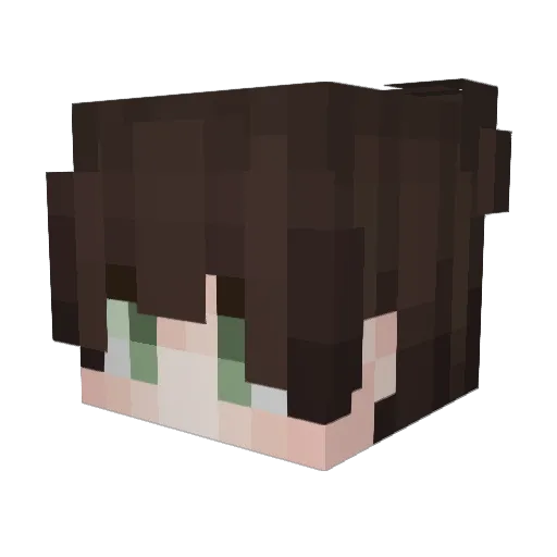 Shinryuuu_ Minecraft avatar head, 3D render