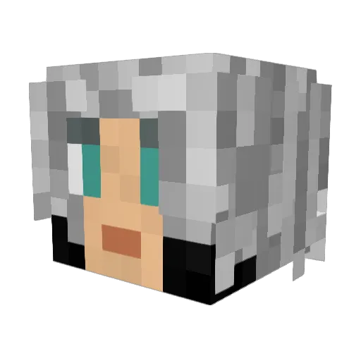 Shinseii Minecraft avatar head, 3D render
