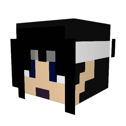 Shinstrail Minecraft avatar head, 3D render