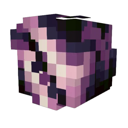 Shintrtixx Minecraft avatar head, 3D render