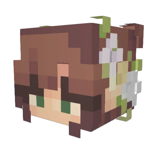 Shinwa_Chan Minecraft avatar head, 3D render