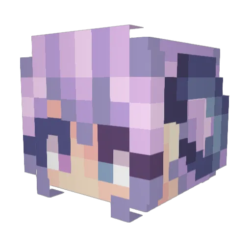Shinx07 Minecraft avatar head, 3D render