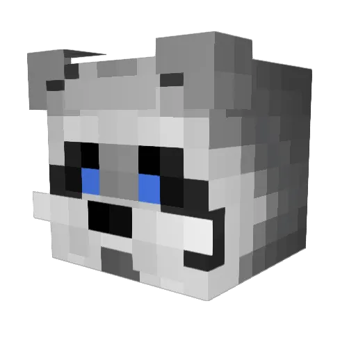 ShinyBudder4279 Minecraft avatar head, 3D render