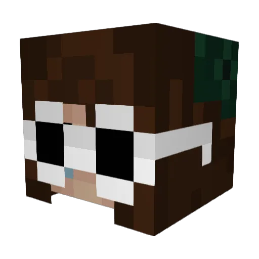 ShinyChicken2000 Minecraft avatar head, 3D render