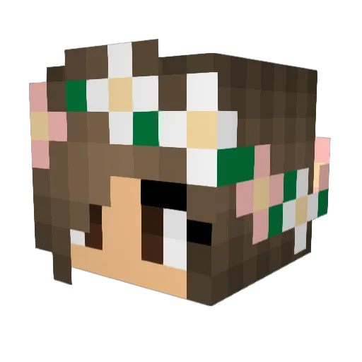 ShinyDisease Minecraft avatar head, 3D render