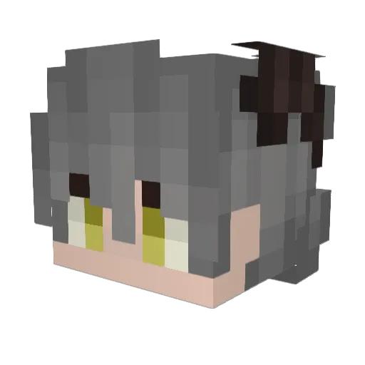 ShinyDubwool Minecraft avatar head, 3D render
