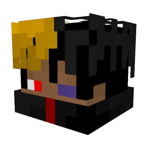 ShinyFliXx Minecraft avatar head, 3D render