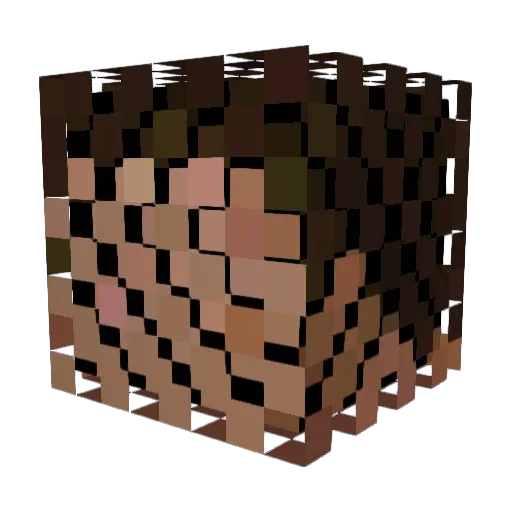 ShinyLad Minecraft avatar head, 3D render