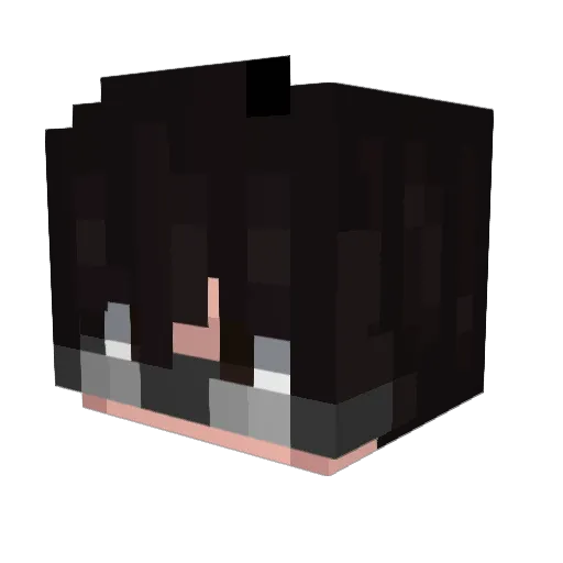 ShinySammy Minecraft avatar head, 3D render
