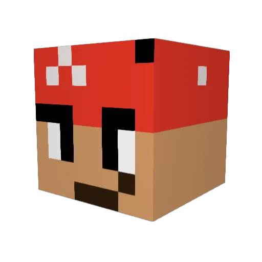 ShinyTaco19 Minecraft avatar head, 3D render