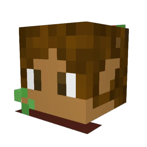 Shiny_Pb Minecraft avatar head, 3D render