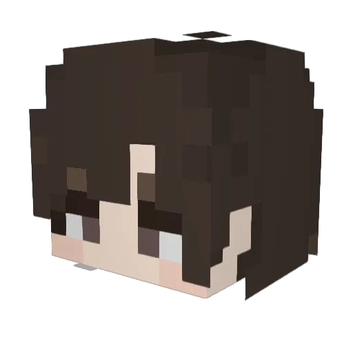 Shinyax_ Minecraft avatar head, 3D render