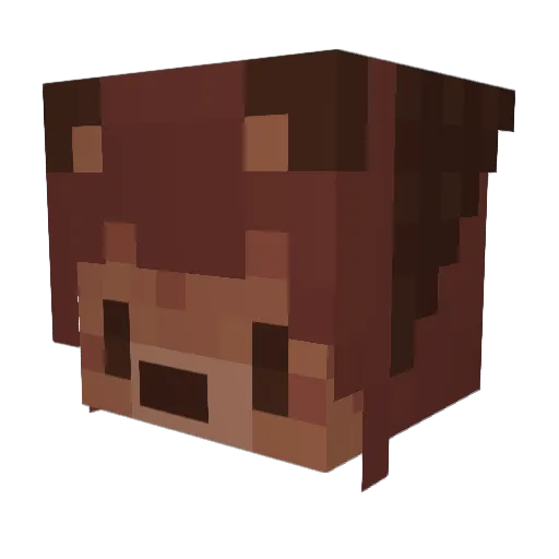 Shinzaia Minecraft avatar head, 3D render