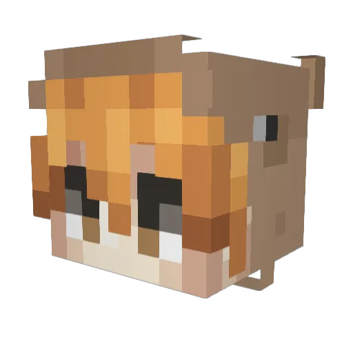 Shinzu Minecraft avatar head, 3D render