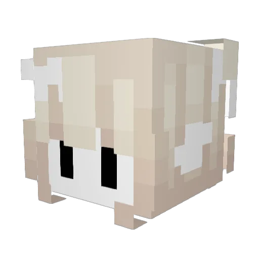 Shiolla Minecraft avatar head, 3D render