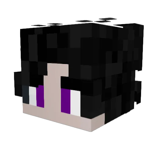 Shioo_ Minecraft avatar head, 3D render
