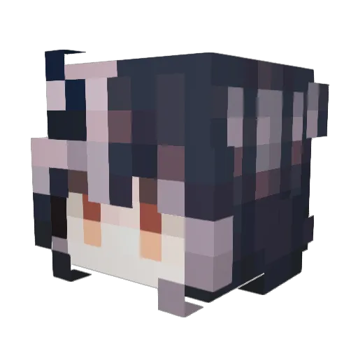 Shiori_MyOnly_Hu Minecraft avatar head, 3D render