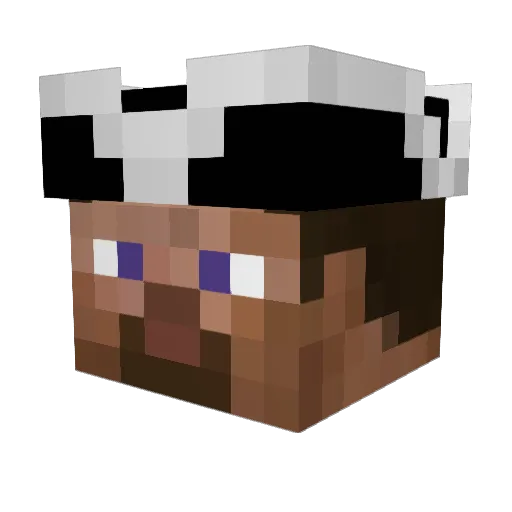 Ship Minecraft avatar head, 3D render