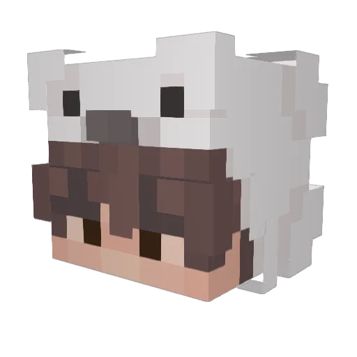 Shipplyy Minecraft avatar head, 3D render