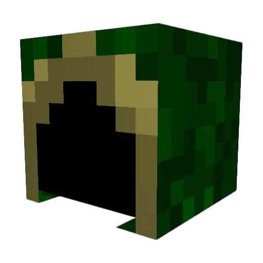 ShipsFly Minecraft avatar head, 3D render