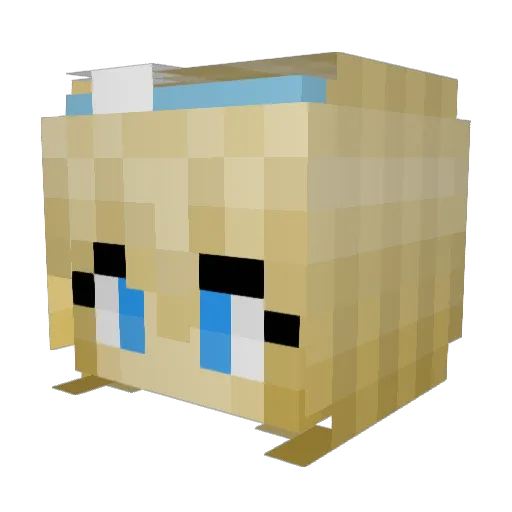Shipswinger Minecraft avatar head, 3D render