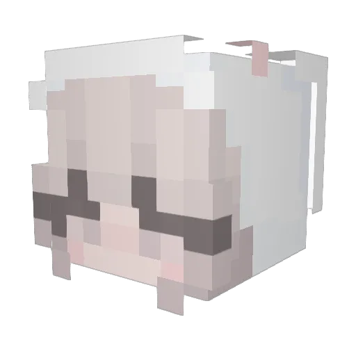 Shipwellka Minecraft avatar head, 3D render