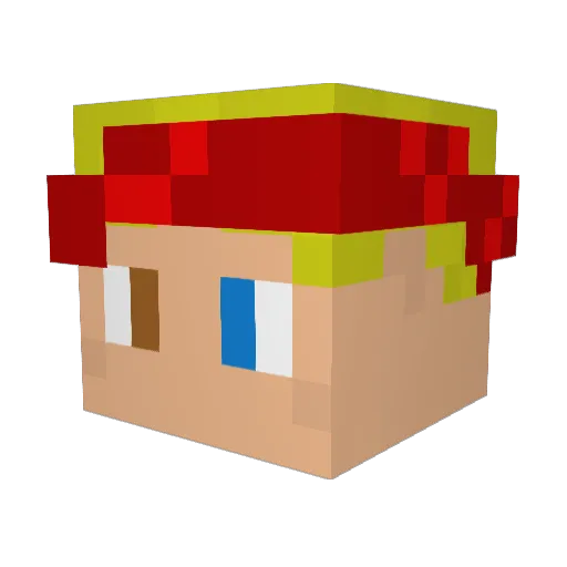 Shipwreck1969 Minecraft avatar head, 3D render