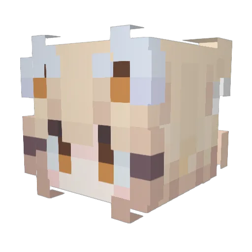 Shir0_PL Minecraft avatar head, 3D render