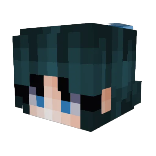 Shira1204 Minecraft avatar head, 3D render