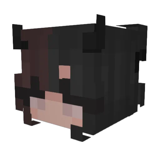 Shira200 Minecraft avatar head, 3D render