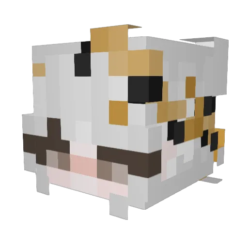 ShiraoriS2 Minecraft avatar head, 3D render