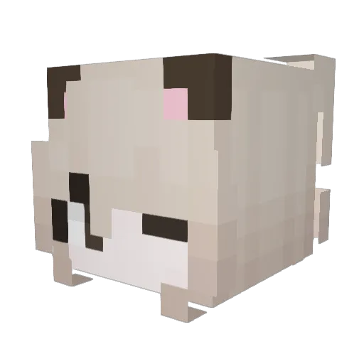 ShirayukiR Minecraft avatar head, 3D render