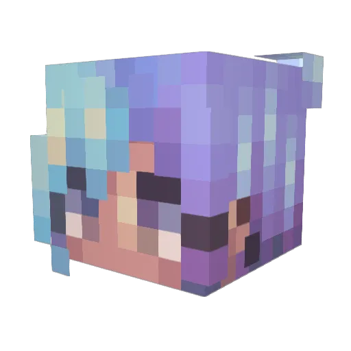 Shireeen_ Minecraft avatar head, 3D render