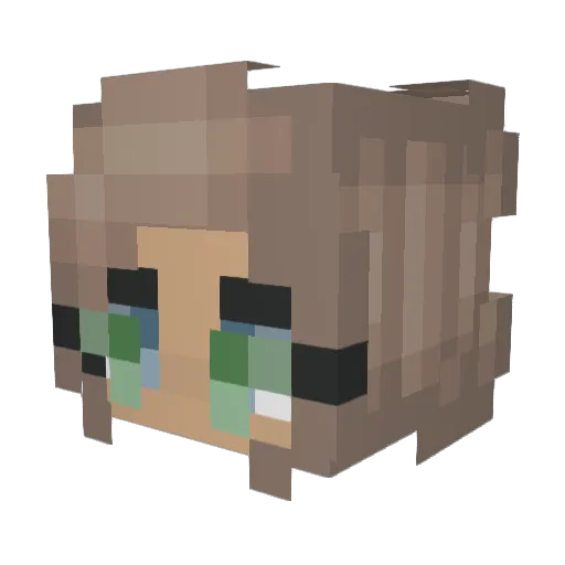 Shirley111 Minecraft avatar head, 3D render