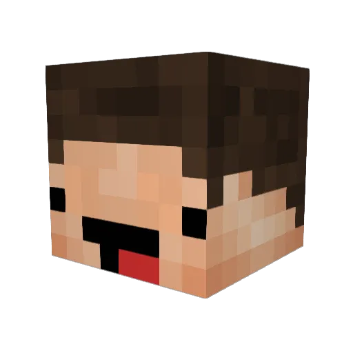 Shirley_Ekta Minecraft avatar head, 3D render