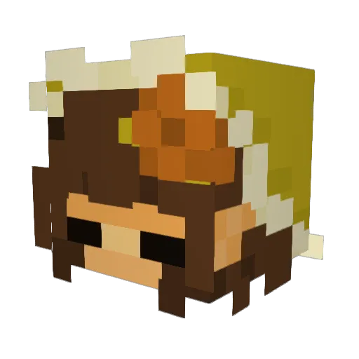 ShirleyyTemple Minecraft avatar head, 3D render