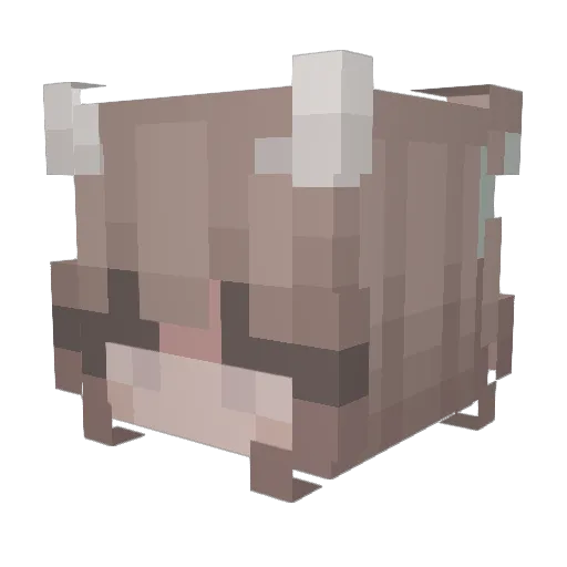 ShiroAlter Minecraft avatar head, 3D render