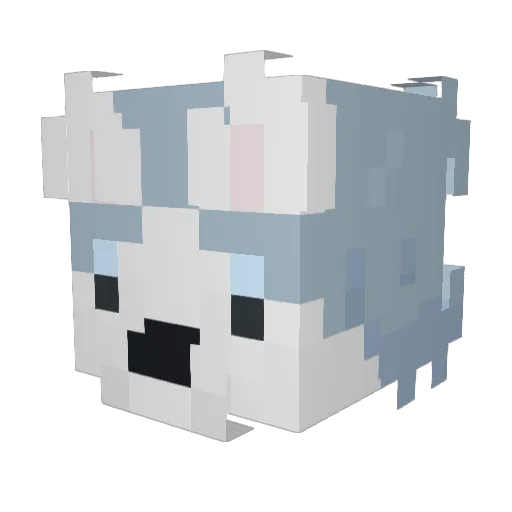 ShiroDoggo Minecraft avatar head, 3D render