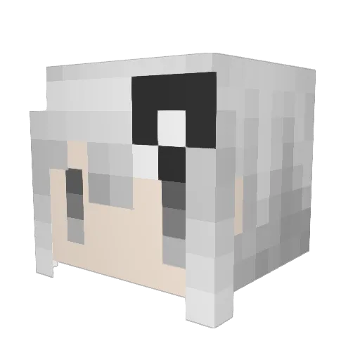 ShiroSword2525 Minecraft avatar head, 3D render