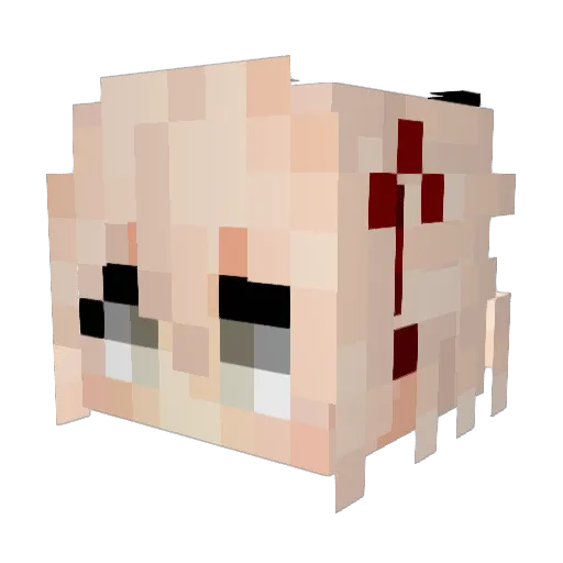 Shirocchii Minecraft avatar head, 3D render