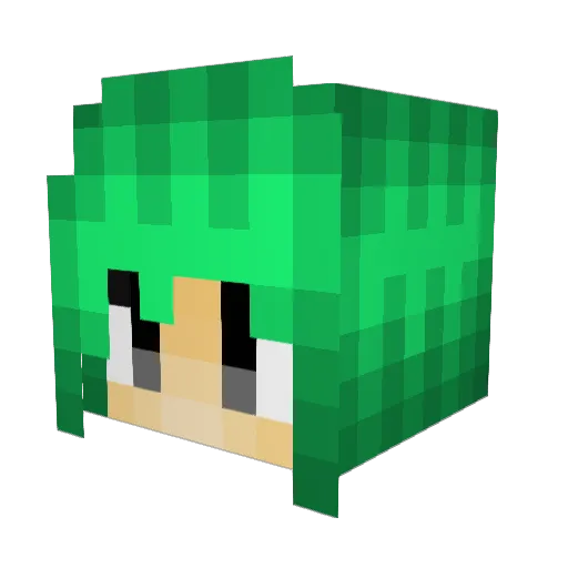 Shiroe77 Minecraft avatar head, 3D render